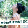 燕之林