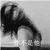藺澤淚