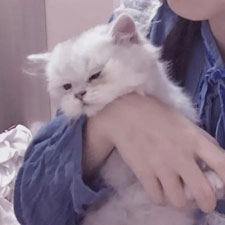 方曉婧