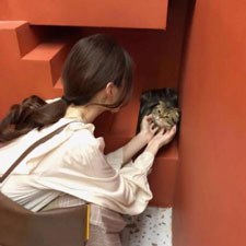 谷禮禮