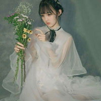 苑泓西