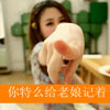 陶一嘉