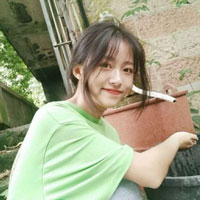 權(quán)淄豈