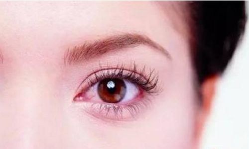 成都華美紫馨鼻子如何塑造？楊力、陳楊內部醫(yī)生對比，哪位更受青睞？