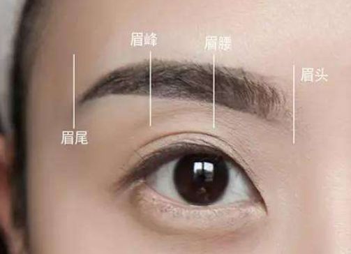國內(nèi)首屈一指的植發(fā)醫(yī)院排行榜！專業(yè)連鎖機構(gòu)、公立機構(gòu)名單大揭秘！點擊查看！