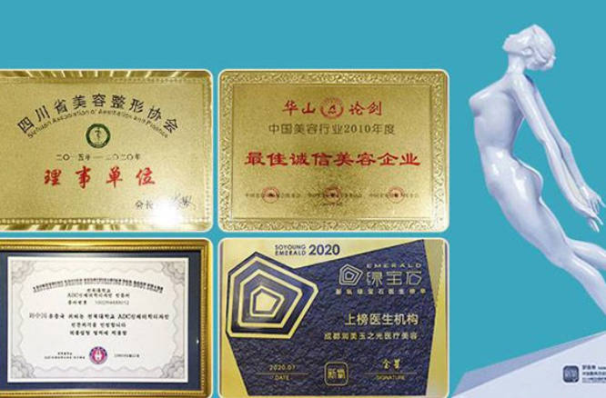 成都潤美玉之光醫(yī)療美容門診部_榮譽
