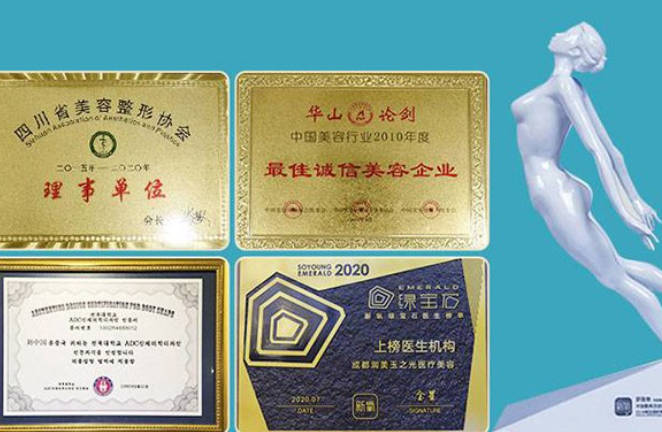 成都玉之光整形美容醫(yī)院_榮譽