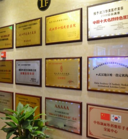 武漢華美醫(yī)療整形美容醫(yī)院_榮譽(yù)