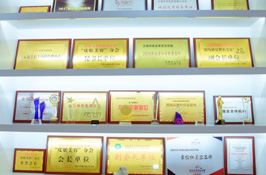 云南華美美萊美容醫(yī)院_榮譽(yù)