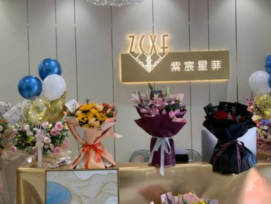 天津紫宸星菲醫(yī)療美容門診_環(huán)境