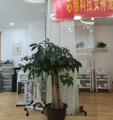 婁底芯雅醫(yī)療美容門診部_環(huán)境