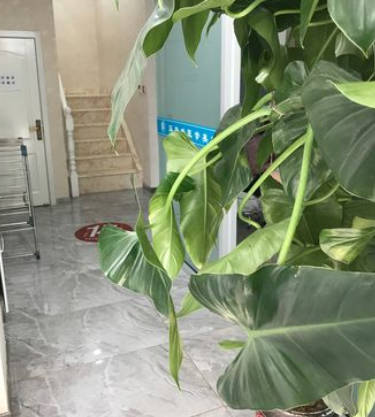 包頭馬登峰醫(yī)療美容診所_環(huán)境