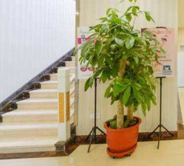 廊坊淳美醫(yī)療美容診所_環(huán)境
