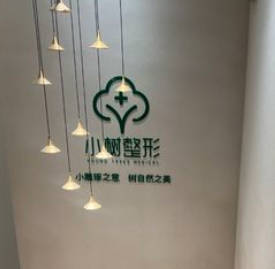 沈陽小樹醫(yī)療美容診所