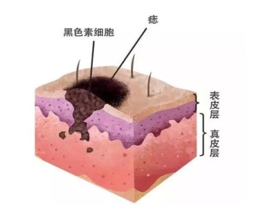 2023寧波面部收緊針醫(yī)生排行前10強(qiáng)每日點(diǎn)評！張廣巍、姜春聲、賈利霞技術(shù)前沿口碑專業(yè)