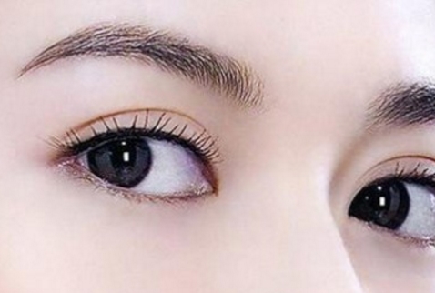 2023泉州瘦小腿整形術(shù)醫(yī)生前10強(qiáng)排名榜權(quán)威點(diǎn)評(píng)！文維、陳聽柿、賀寶陣收獲頗豐