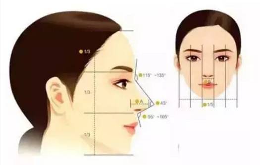 中國(guó)鼻部整形界的翹楚是誰(shuí)？揭秘國(guó)內(nèi)五位領(lǐng)先的隆鼻專(zhuān)家，每個(gè)都展現(xiàn)令人驚嘆的技藝！