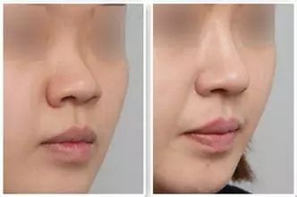 北京柏麗李勁良的資歷與成就完全解析