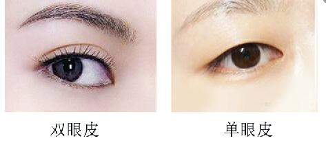許學(xué)文醫(yī)生：雙眼皮與隆鼻案例圖詳細(xì)分享，絕對驚艷！