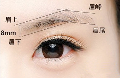 上海玫瑰整形醫(yī)院李鴻君隆胸費(fèi)用詳細(xì)介紹